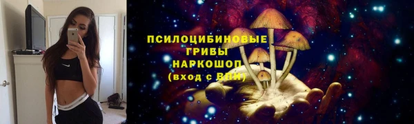 mix Абаза