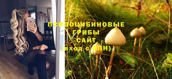 ПСИЛОЦИБИНОВЫЕ ГРИБЫ Абдулино
