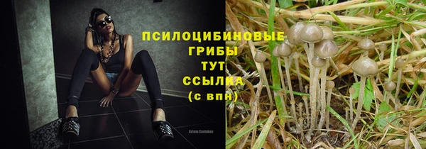 mix Абаза