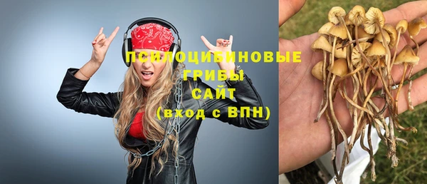 соль курить ск Алексеевка