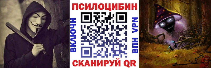 Псилоцибиновые грибы прущие грибы Ковров